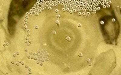 Incontriamo lo Champagne