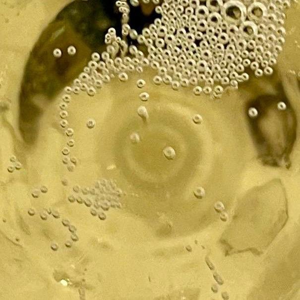 Incontriamo lo Champagne